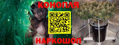шишки Апрелевка