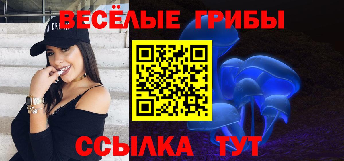Галлюциногенные грибы мухоморы  Псилоцибиновые грибы Psilocybe  Вход с VPN  Вышний Волочёк 